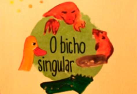 Livro o bicho singular
