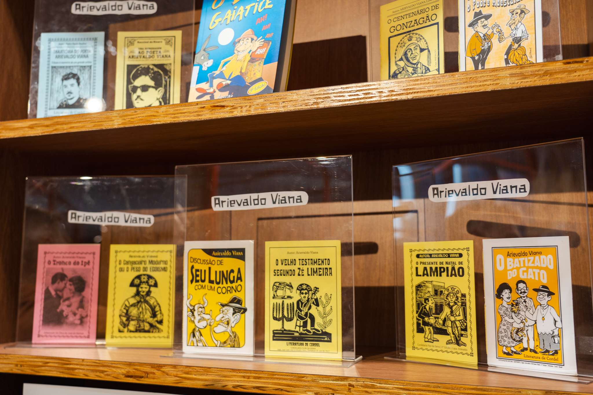 Roda de Conversa "Bibliotecas e Acervos de Cordéis - Desafios e Oportunidades" com Fanka dos Santos, Regina Célia Paiva e Lorena Patricio 7 2024 08 28 Lancamento Cordelteca Arievaldo Viana na BECE. Jeny Sousa 60 1