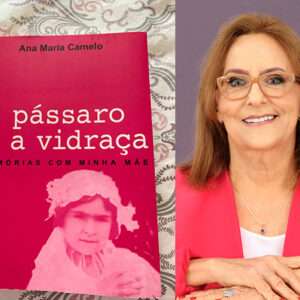 O Passaro e a Vidraca capa