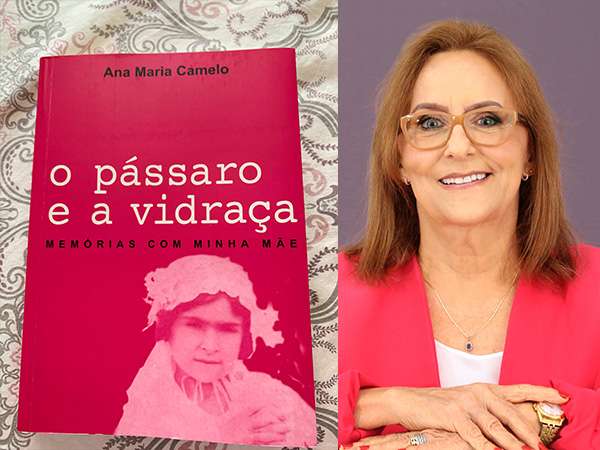 O Passaro e a Vidraca capa