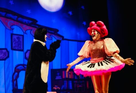 4 Fotografo Tim Oliveira