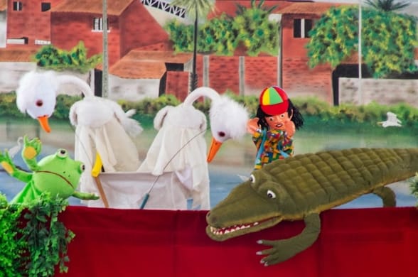 Calu Maravilha foto 2